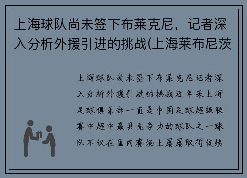 上海球队尚未签下布莱克尼，记者深入分析外援引进的挑战(上海莱布尼茨电子商务有限公司)