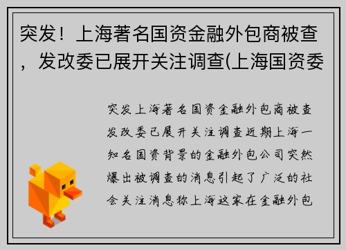 突发！上海著名国资金融外包商被查，发改委已展开关注调查(上海国资委下券商)